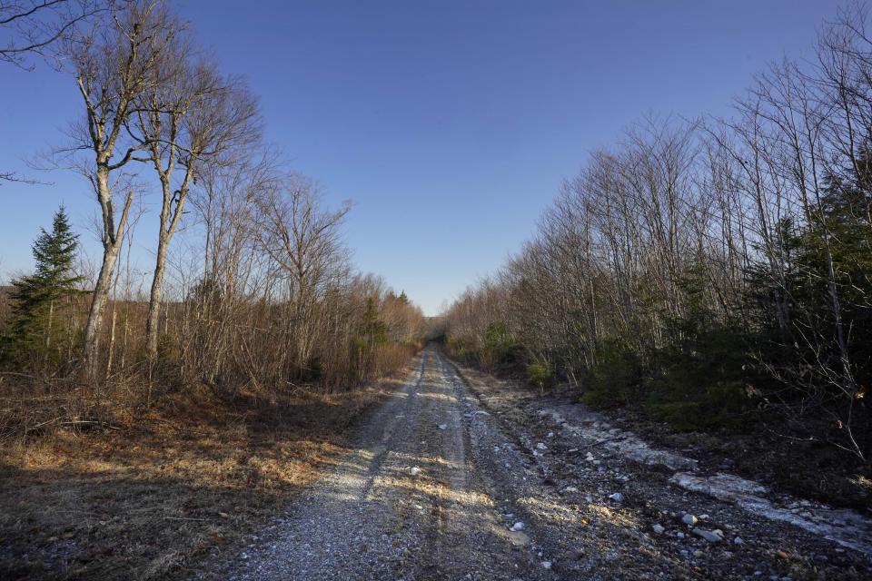 A road leads to a remote area near Columbia Falls, Maine on Friday, April 28, 2023, where a proposed flagpole and patriotic theme park would be built. (AP Photo/Robert F. Bukaty)