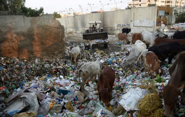 Pakistan's Karachi, a megacity of 20-25 million people, produces roughly 12,000 tonnes of trash daily