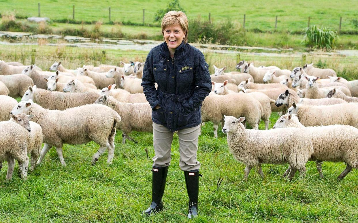 Nicola Sturgeon's government has asked the European Commission for an extension to a farm payment deadline - PA/Press Association Images