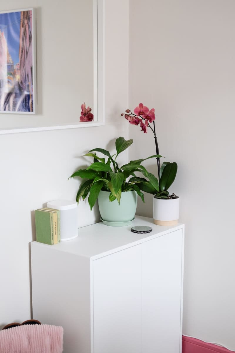 white cabinet with house plants on top and mirror above