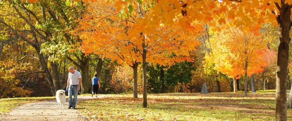 a man walking a dog in a park