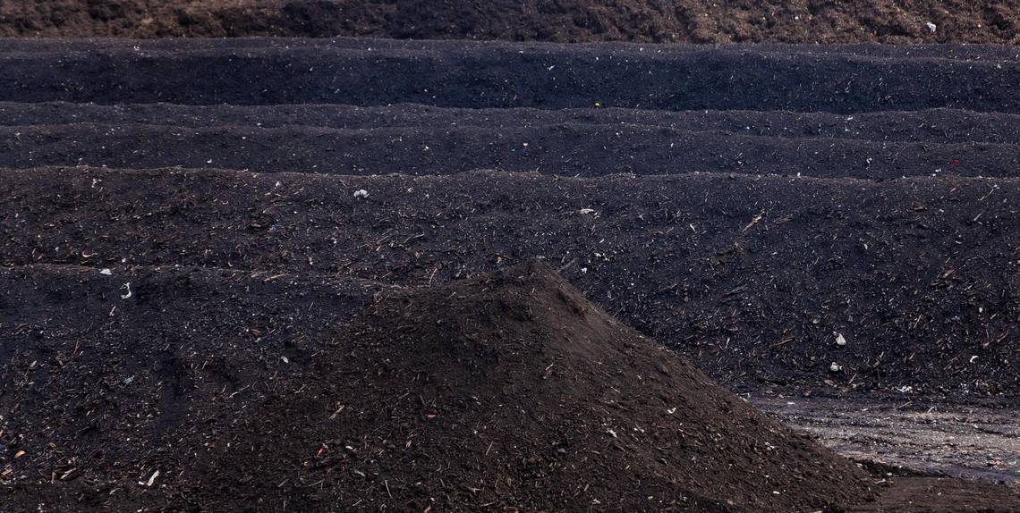 Compost finishes processing in windrow piles where internal temperatures reach 150 degrees or hotter.