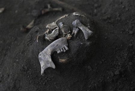 Fragments of a human skull are seen at a construction site in the former war zone in Mannar, about 327 km (203 miles) from the capital Colombo, January 16, 2014. REUTERS/Dinuka Liyanawatte