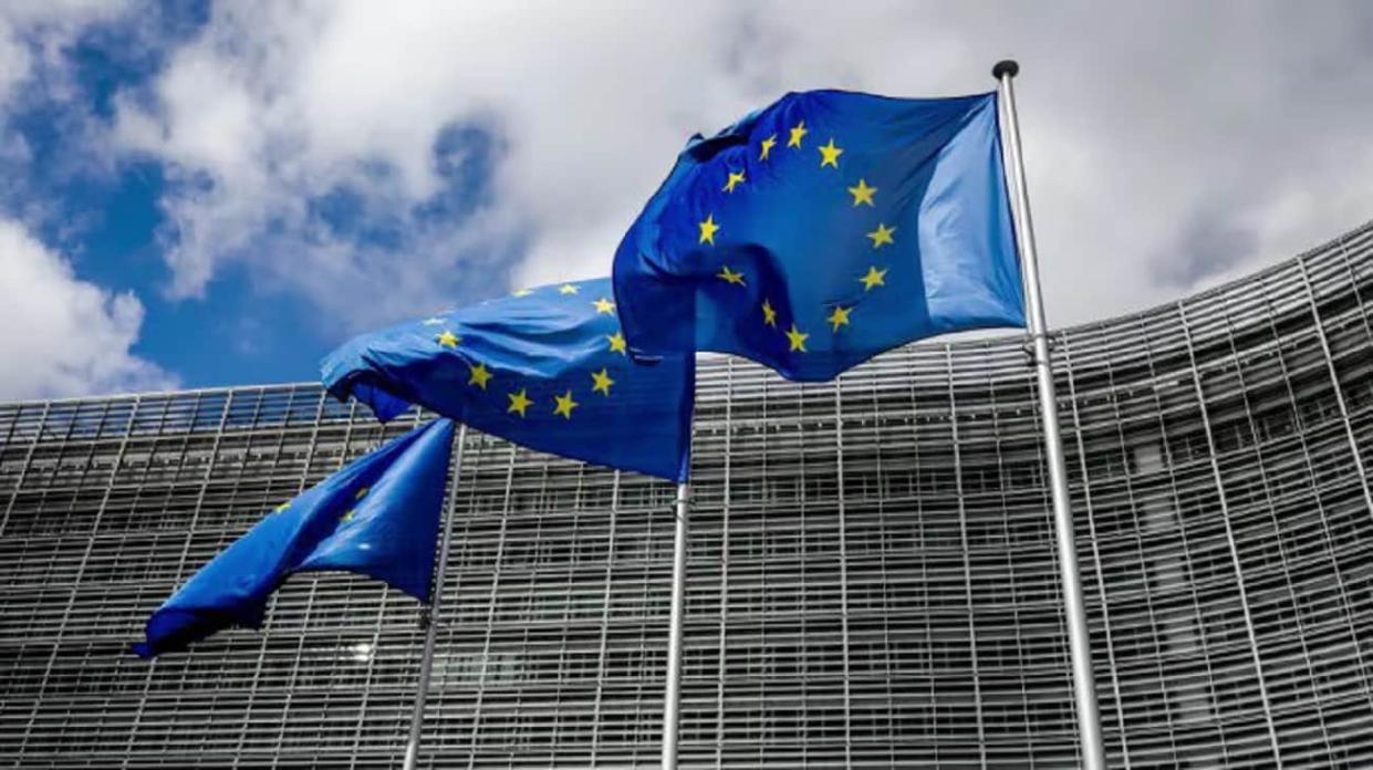 EU flags. Stock photo: Getty Images