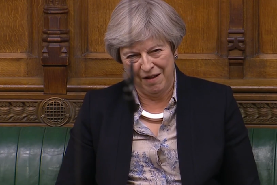 Theresa May appeared to mouth 'what' in shock (Parliament TV)