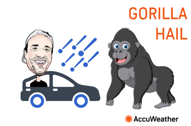 Wacky Weather Words: Gorilla Hail