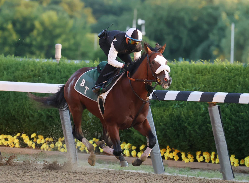 ELMONT, NEW YORK - JUNE 14:  Belmont Stakes contender Tiz the Law breezes with Jockey Manny Franco up  during morning training prior to the 152nd running of the Belmont Stakes at Belmont Park at Belmont Park on June 14, 2020 in Elmont, New York. (Photo by Al Bello/Getty Images)