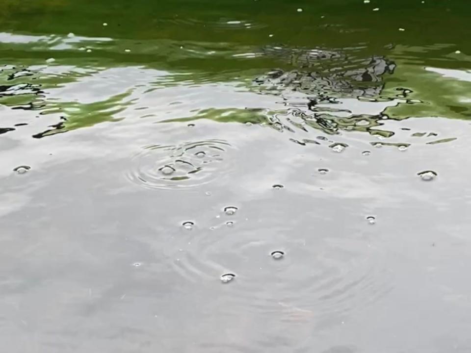 Bubbles are shown on rising to the surface of the thermokarst.