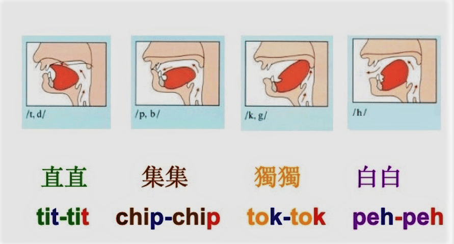 口腔發聲斷促四種 t、p、k、h 符號示意圖 / 王泰澤提供