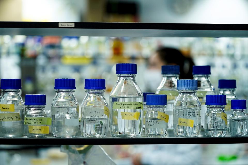 This picture taken on May 8, 2020 shows laboratory test bottles at the Vlaams Institute of Biotechnology of Ghent University on May 08, 2020 in Ghent. (Photo by kenzo tribouillard / AFP) (Photo by KENZO TRIBOUILLARD/AFP via Getty Images)