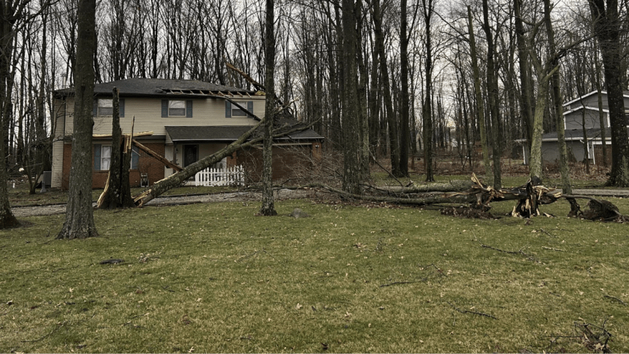 Trees are uprooted and fall on houses in Blacklick, Ohio on Belangee Road after a strong storm surge early morning on February 28, 2024. (NBC4 Photo/Delaney Ruth)