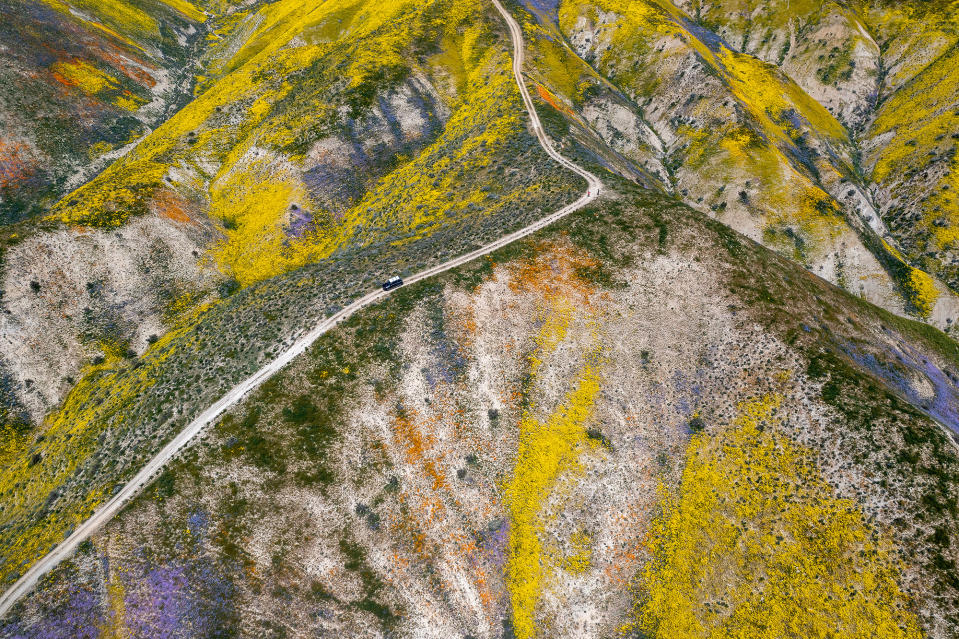 The Temblor Range near Santa Margarita, California, on April 15, 2023