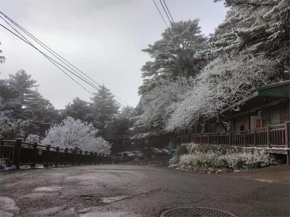 快新聞／全台凍番薯　台東南橫向陽段下雪了