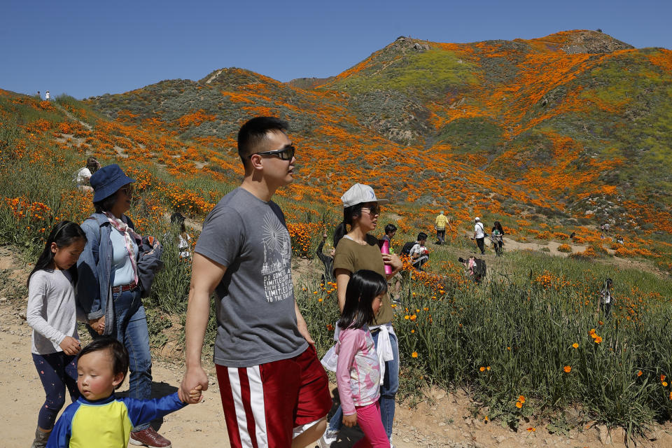 Varias personas caminan frente a un paisaje con flores silvestres, el lunes 18 de marzo de 2019, en Lake Elsinore, California. (AP Foto/Gregory Bull)