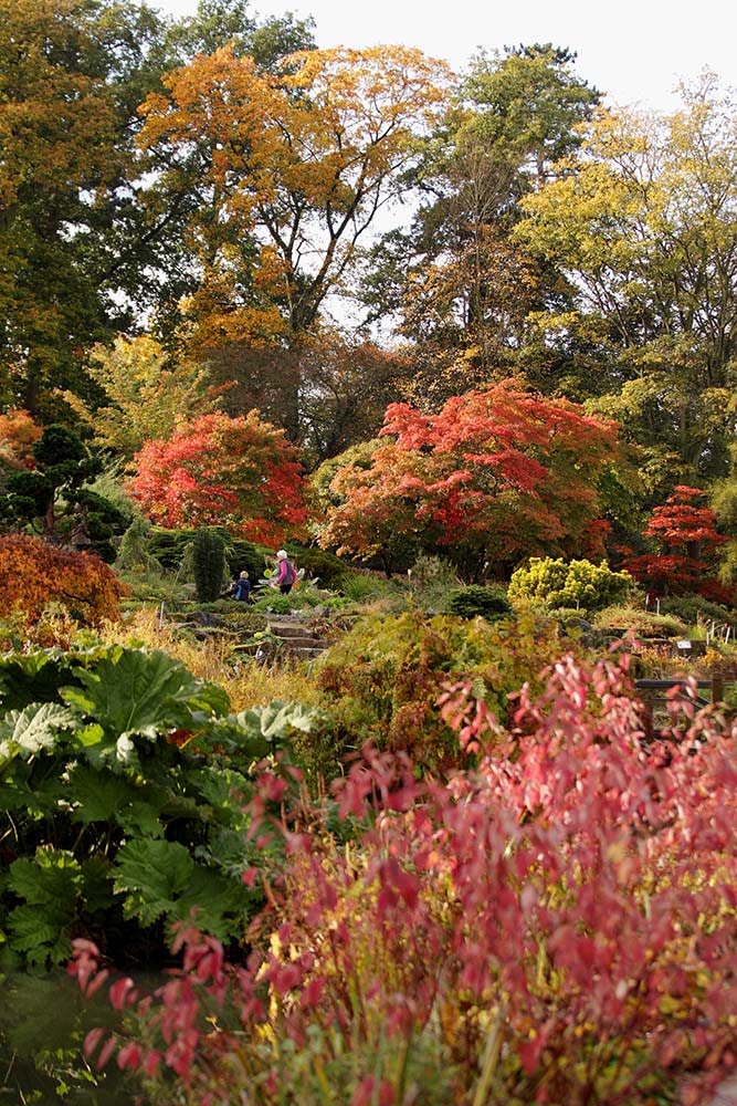 RHS威斯利植物園（Photo by Oli Scarff, Image Source : Getty Editorial）