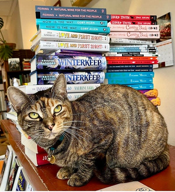 "Fable" is the official mascot of Known Grove Books & More, located at 627-4 Main Street in Honesdale. Fable is just a year old but loves reading and always has the purrrrfect recommendation.