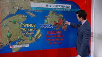 CBC meteorologist Ross Hull with the latest on a severe winter storm hitting Newfoundland