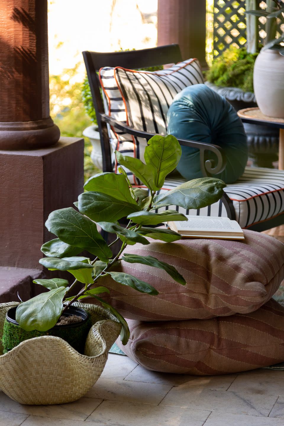 a fiddle leaf fig tree in a woven planter on a porch designed by bethany adams