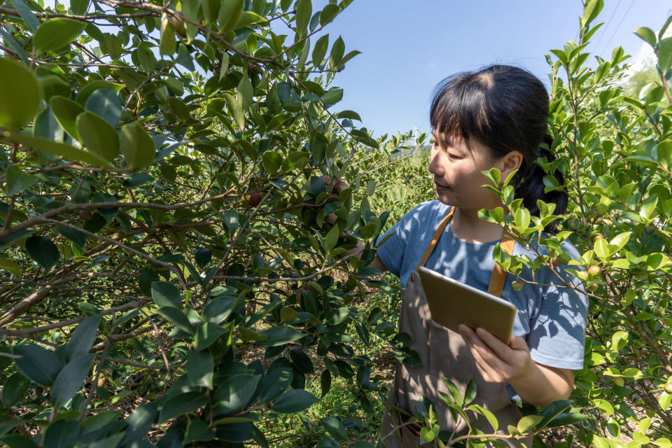 woman checking on her plants