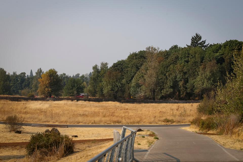 Scorched grassland marks the site of a brush fire on the east end of Alton Baker Park near the Knickerbocker Bike Bridge and Interstate 5 on Aug. 25 in Eugene.