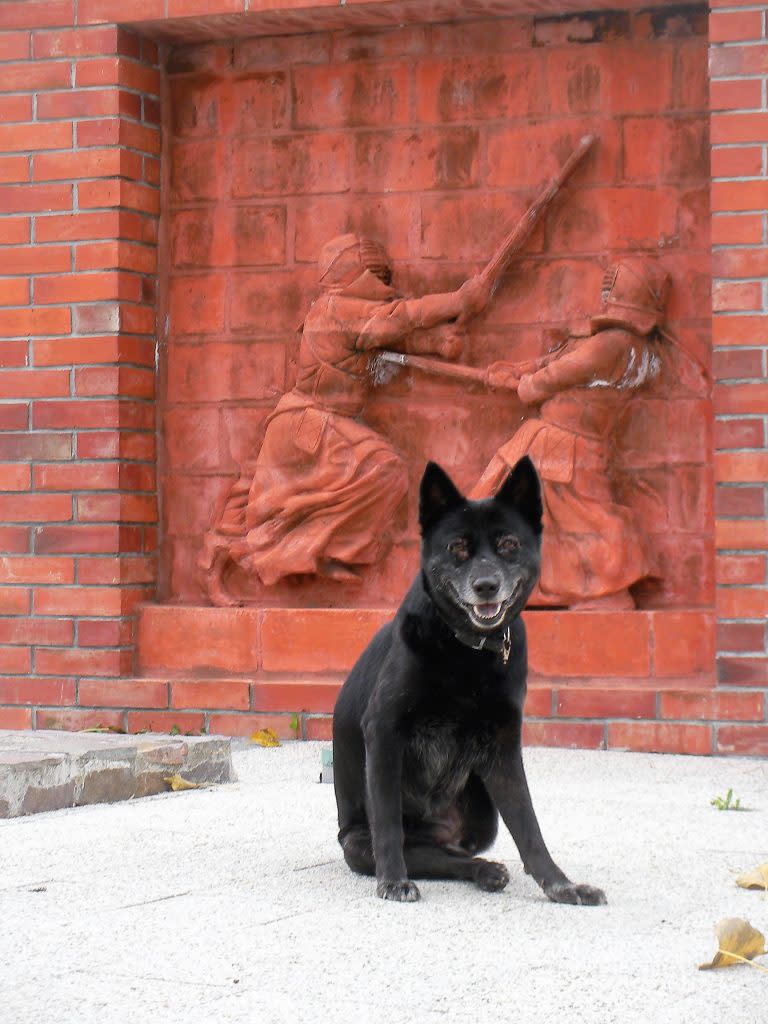 武德殿的守護犬讓人想起傑克·倫敦的白牙