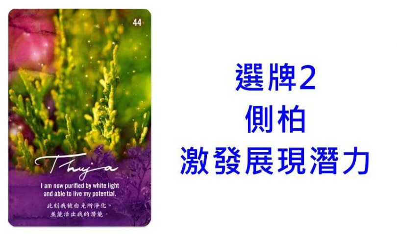 本次牌卡使用《AKASHA Sacred Healing Cards阿卡莎脈輪花精療癒卡》Sun Ya Fischer富桑雅 著。