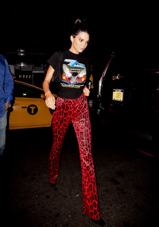 Kendall Jenner Goes Wild in Purple Leopard Lingerie & Matching