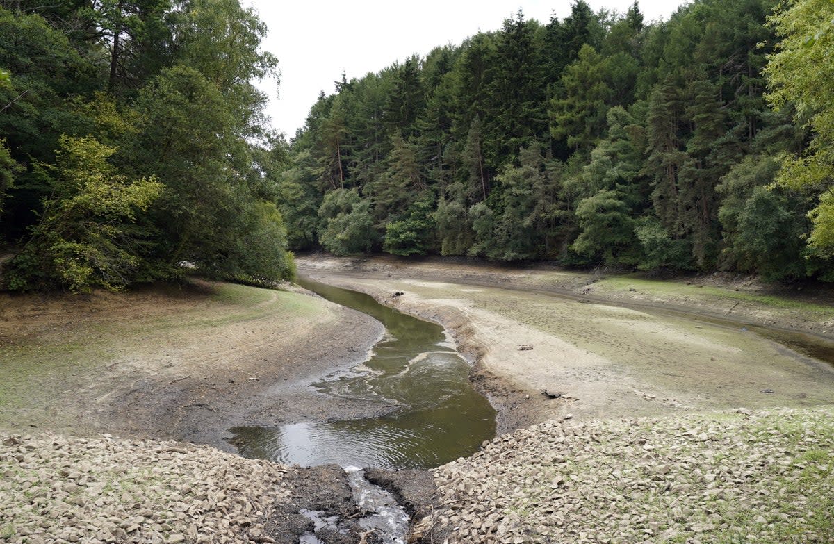 A view of Ardingly reservoir in West Sussex, owned and managed by South East Water (Andrew Matthews/PA) (PA Wire)