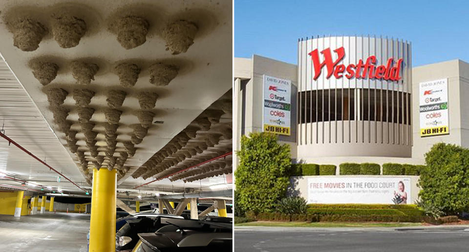 Westfield car park(left) Outisde Westfield Kotara in Newscastle (right)