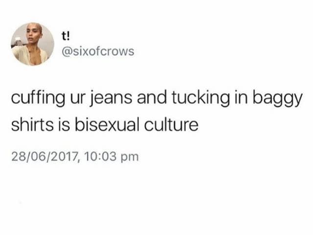 28) Bisexual memes