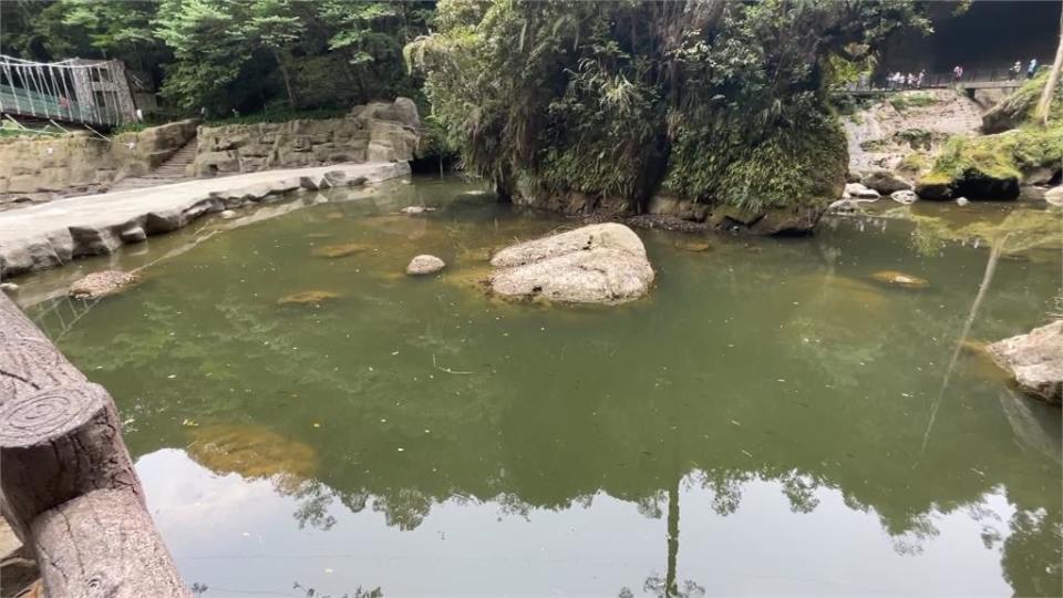 久旱不雨！日月潭快變「荒漠」　杉林溪松瀧岩壯闊瀑布變涓涓細流