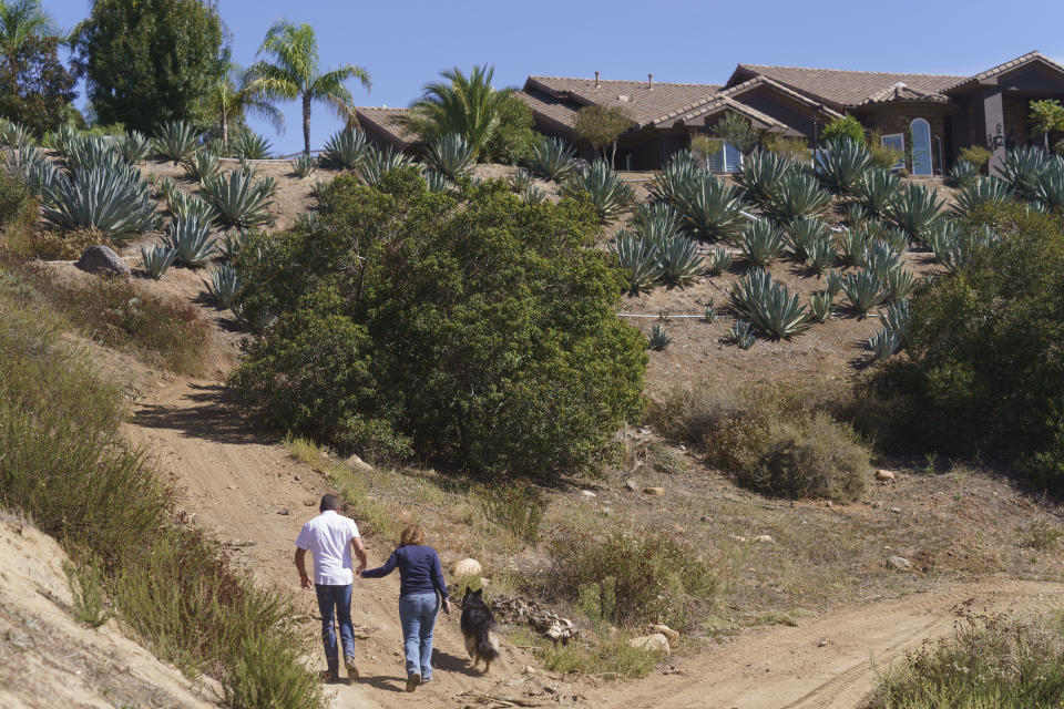 Leo Ortega and his wife tour the Agave Americana plants around their home in Murrieta, Calif., Tuesday, Oct. 17, 2023. Ortega started growing blue agave plants on the hillsides of his Southern California home because his wife liked the way they looked. Today, his property is littered with what some say could be a promising new crop for water-challenged California. (AP Photo/Damian Dovarganes)