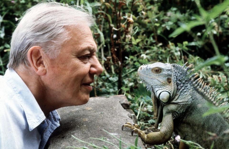 Sir David Attenborough