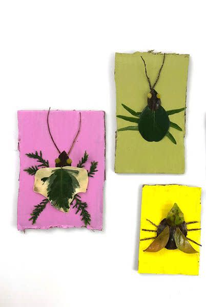 DIY Nature Craft Bugs