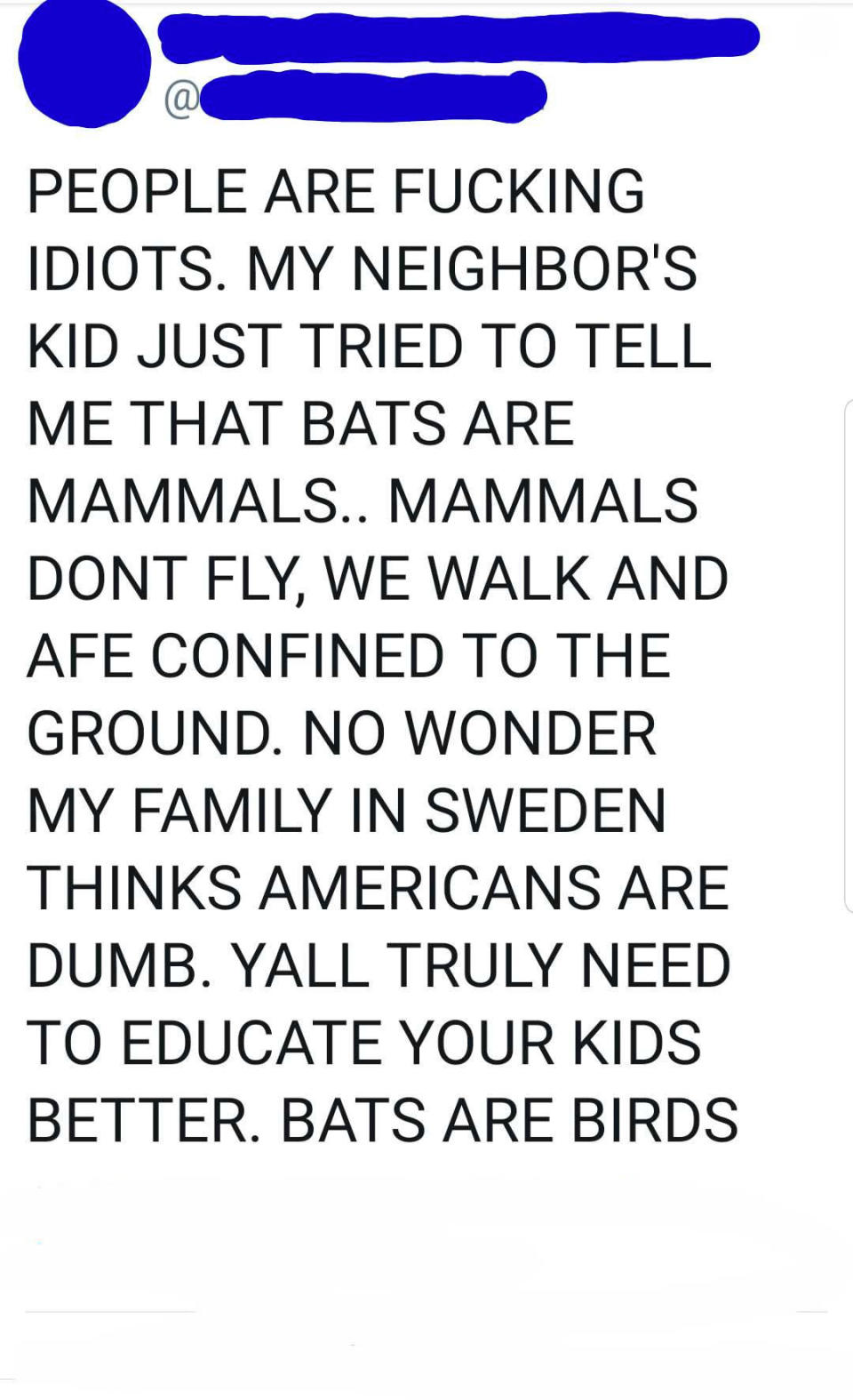 tweet of someone freaking out about how bats are birds