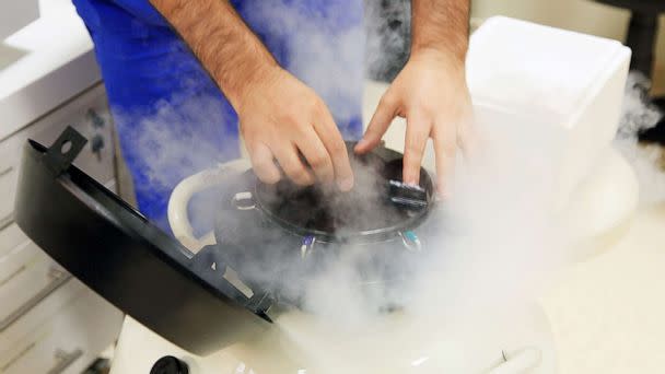 PHOTO: A liquid nitrogen bank containing sperm and eggs samples is seen in this undated stock photo. (STOCK PHOTO/Getty Images)