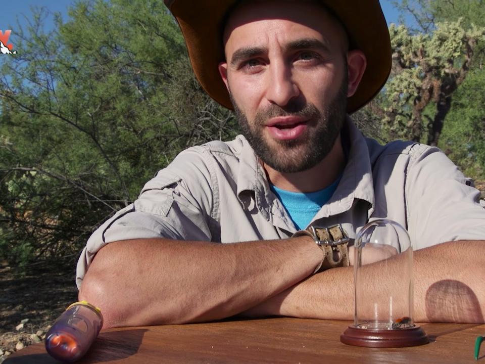 coyote peterson brave wildnerness youtube
