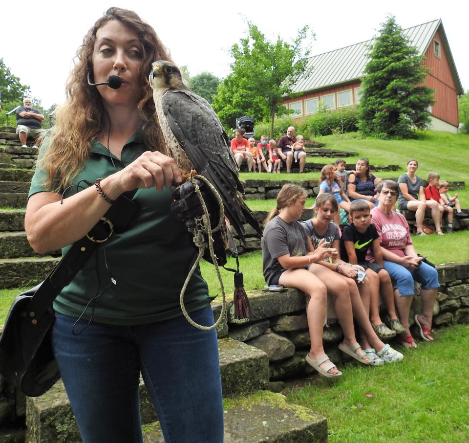 Becky Geiger of Midwest Falconry with one of the eight birds of prey the organization from outside Cincinnati brought to share with the public recently during a presentation at Clary Gardens. She said their focus is on education and conservation and to hopefully encourage the next generation of falconers. They brought falcons, hawks and owls.