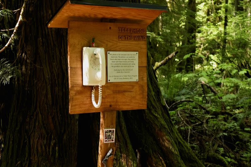 Grieving relatives talk to lost loved ones on phone in the forest