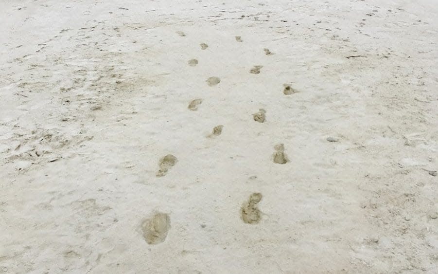 footprints - Cornell University