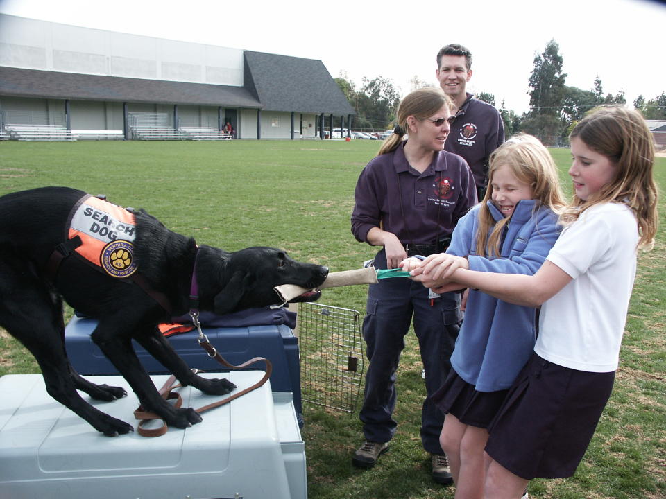 Search dog Abby engages in a tug-of-war