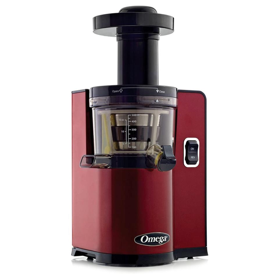 1) Vertical Slow Masticating Juice Extractor