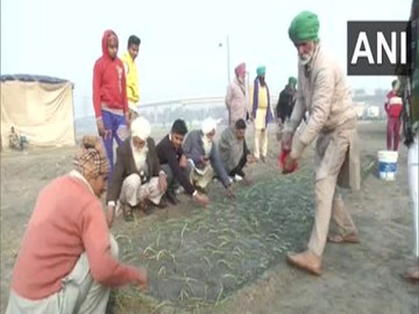 Visual from Nirankari Samagam ground in Burari (Photo/ANI)