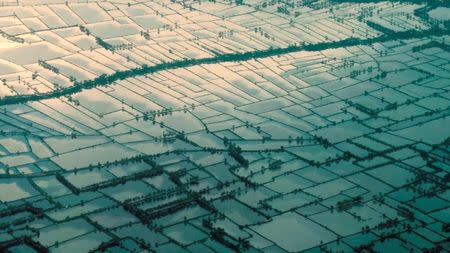 An undated video grab taken from the documentary film “Thirty Million” shows an aerial shot of land enclosed by embankments in coastal Bangladesh. Raw Cinematics Production/Handout via Reuters