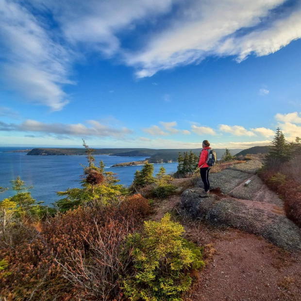 A hiker ventures up the scenic Deadman's Bay Path of the East Coast Trail. (Heidi Murphy/Submitted by East Coast Trail Association - image credit)