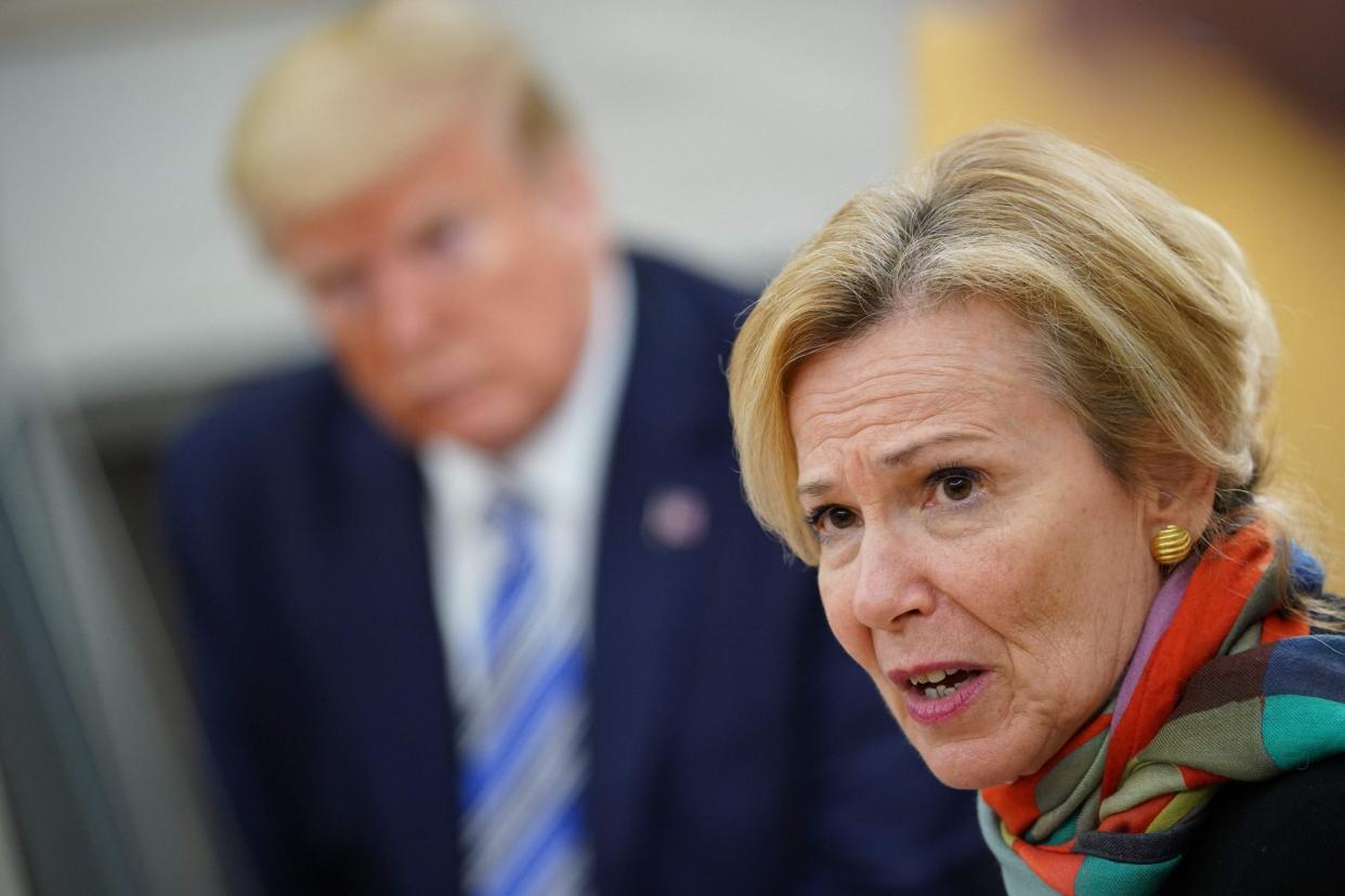 Deborah Birx speaks as Donald Trump looks on during a meeting with Florida governor Ron DeSantis in the Oval Office: AFP via Getty Images