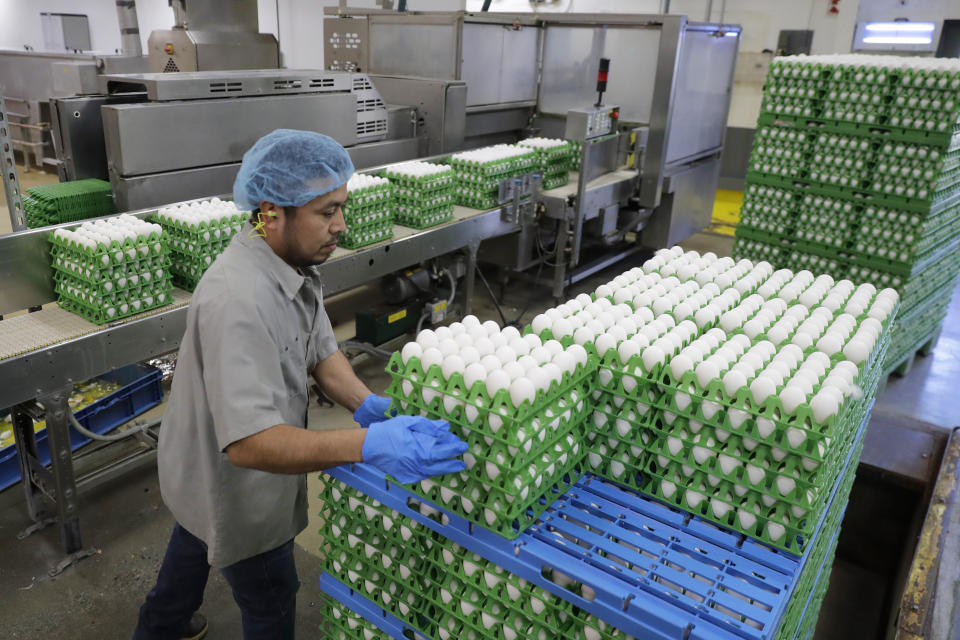 FILE - A worker loads eggs for washing and processing on a farm, April 9, 2020, in Roy, Wash. Nearly 5 million chicken, turkeys and ducks have been slaughtered this year because of a persistent bird flu outbreak that began in 2022, but as big as that number may sound, it’s far less than the number of birds killed last year and that means consumers generally aren’t seeing as much impact on poultry and egg prices. (AP Photo/Ted S. Warren, File)