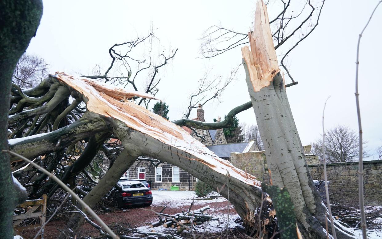 Storm Arwen has caused 'catastrophic damage' across parts of Scotland and the North of England - Owen Humphreys/PA Wire