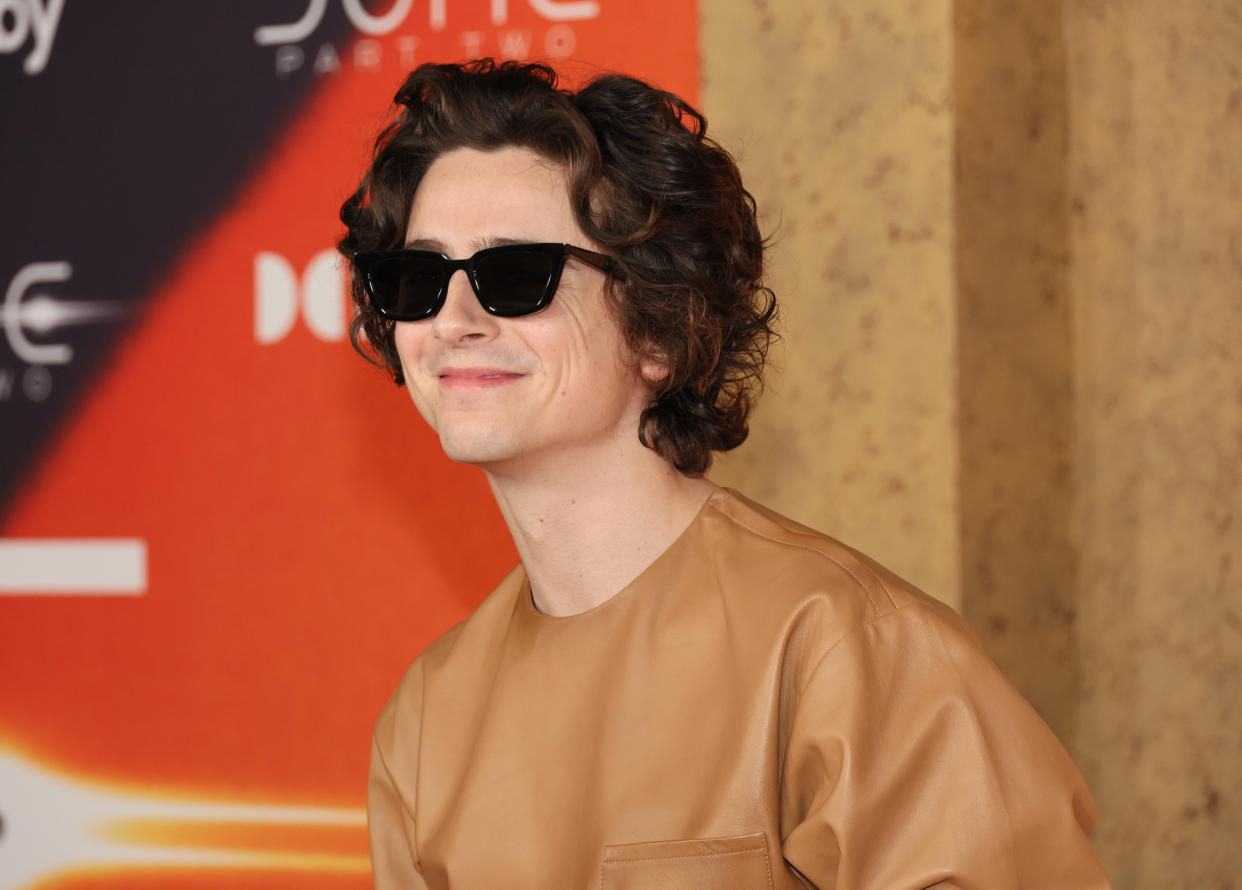 Timothée Chalamet asciende rangos en Hollywood como nuevo 'leading man' financiable para los estudios de Hollywood. (Foto de Dia Dipasupil/FilmMagic)