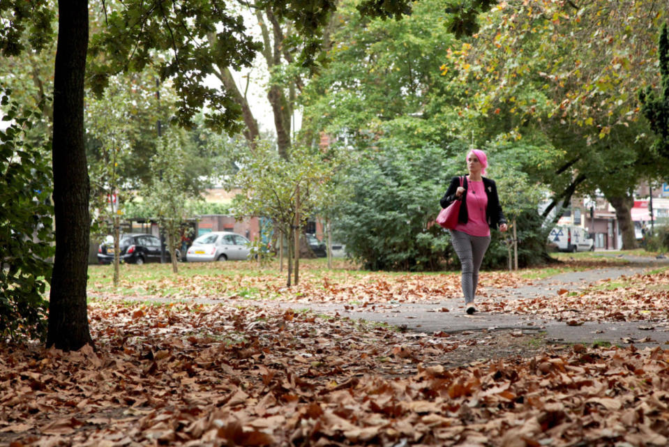 The joy of crunching your way through the fallen leaves in North London 